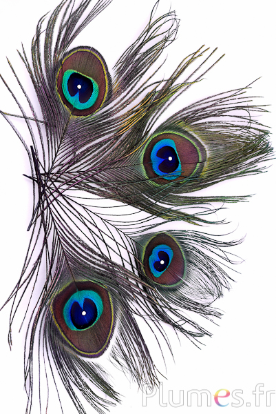 Paon bleu avec strass - 15-20 cm - naturel